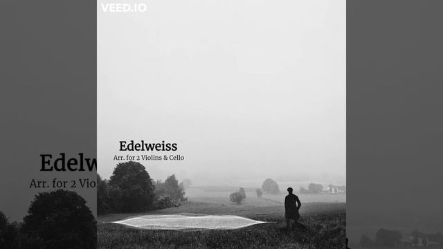 Edelweiss (Arr. for 2 Violins & Cello) смотреть онлайн
