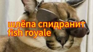 шлёпа спидранит