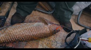 Осеннее путешествие на Дон. Ловля судака. Volkswagen Caravelle.