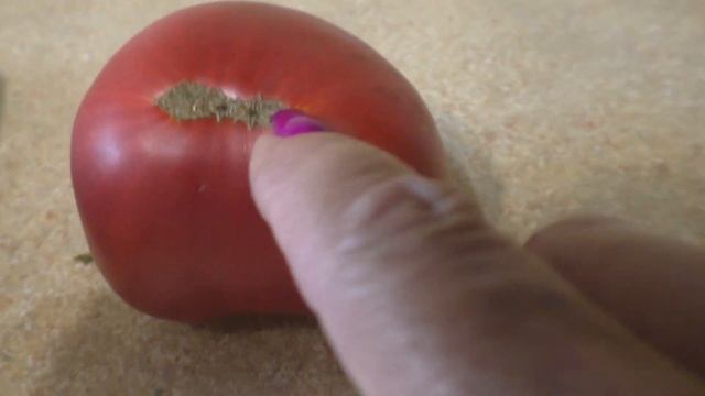 Лучший томат этого лета  Гигант Подмосковья смотреть онлайн