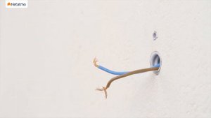 Умный дверной видеозвонок - Netatmo