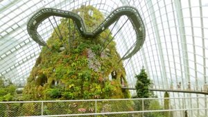 Сингапур. Тайны Садов у Залива.