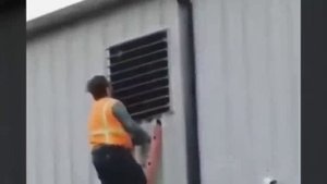 СУПЕР РАБОТЯГИ! Я РЖАЛ ДО СЛЕЗ!!! 3