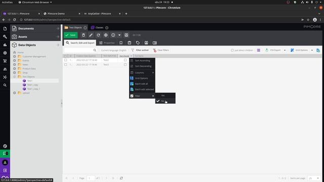 Pimcore Data Objects Grid View (Basics) смотреть онлайн