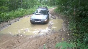 Спринтер кариб