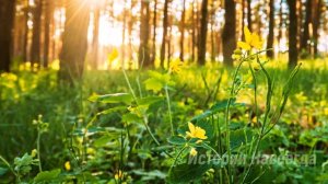 Разлучившись, брат и сестра, даже не представляли, что спустя 15 лет…