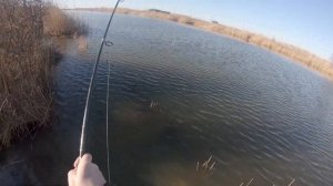 Рыбалка, хутор Садки 13.02.2022