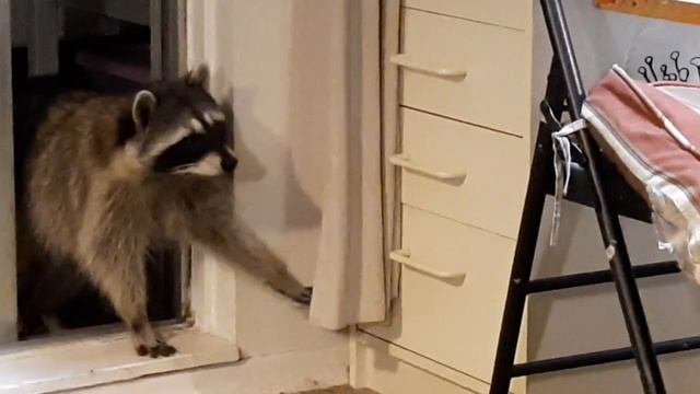 Ну очень скромная и застенчивая смотреть онлайн