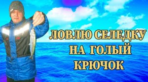 Ловлю СЕЛЕДКУ!!! На пустой крючок  | В Азовском море