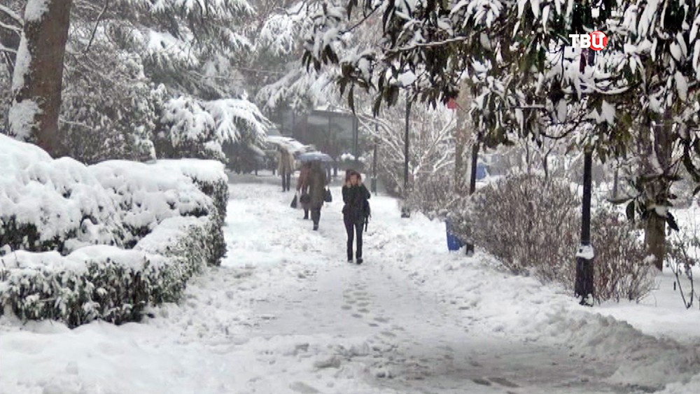 "Приезжайте в Сочи, говорили они": снежная буря накрыла юг России / События на ТВЦ