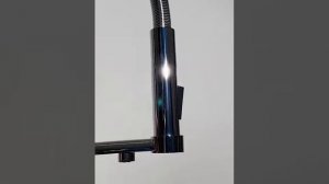 Смеситель для кухни WasserBerg Filigran-C
