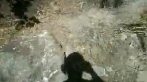 демонтаж и монтаж еврозабора от Борща