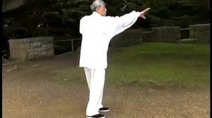 Цигун Дикого гуся (Даянь цигун - Dayan Qigong) - Part 1