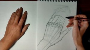 Как нарисовать руку простым карандашом