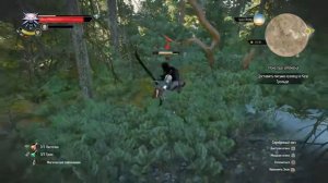 The Witcher 3 Ходим по вопросам в Скелеге