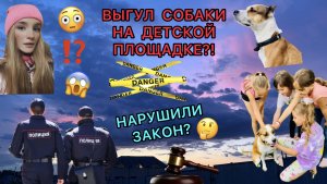 Выгул собаки на детской площадке?! Это нарушение закона?