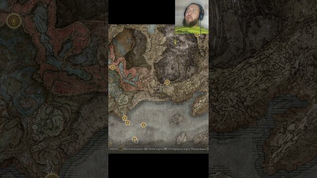 Где найти? Талисман с кровавыми семенами +1 Elden Ring Shadow of the Erdtree Кольцо Элдена