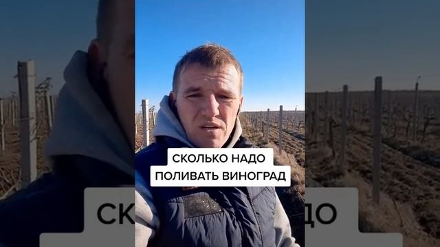 СКОЛЬКО НАДО ПОЛИВАТЬ ВИНОГРАД ПО СОРТАМ смотреть онлайн