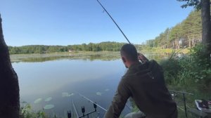 Дикі карпи на казковій водоймі!Відпочили душею та тілом! Став Вірля.