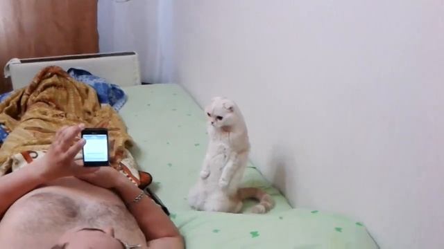 Всем смирно  Звучит гимн России! смотреть онлайн