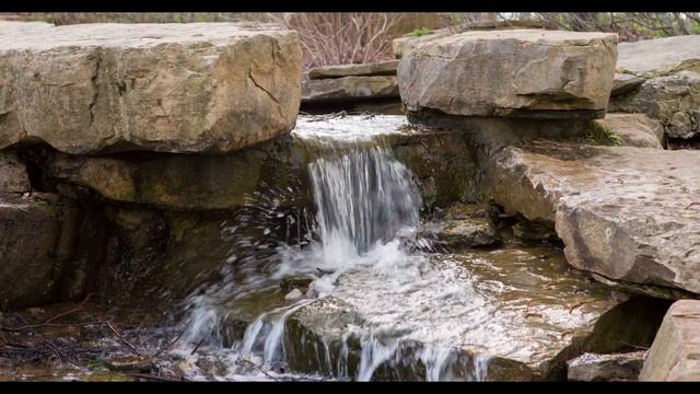 Природа дарит радость, шоссе, машины, утки, ручей, озеро смотреть онлайн