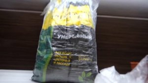 Аквариумные растения на подоконнике