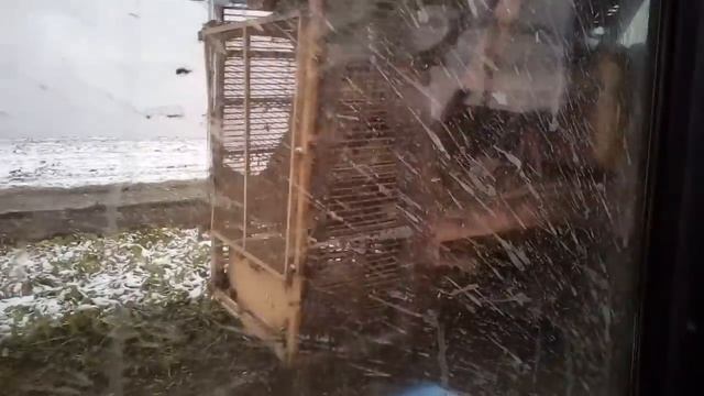 Mureau GT 4 убирает сахарнуе свеклу по снегу. || Копание сахарной свеклы. смотреть онлайн