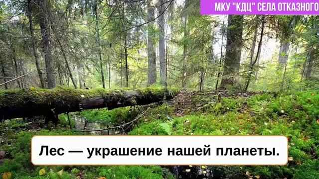 Экологическое онлайн-путешествие 