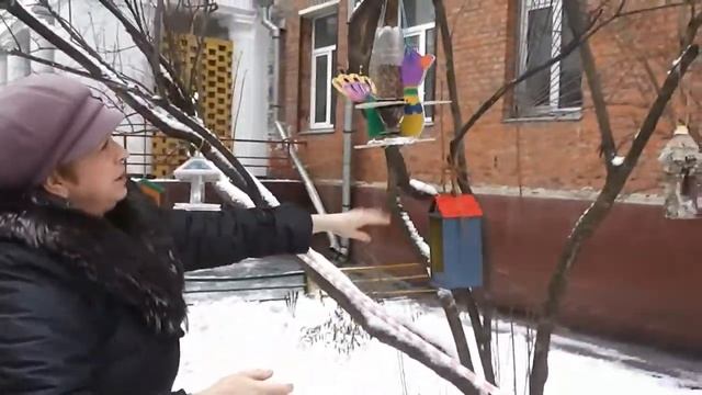 Помощь зимующим птицам в декабре смотреть онлайн