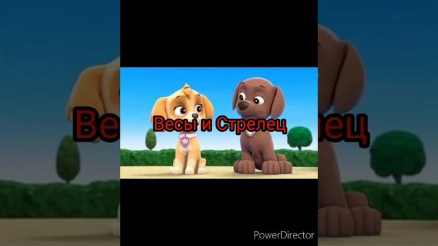 кто ты по знаку зодиака? смотреть онлайн