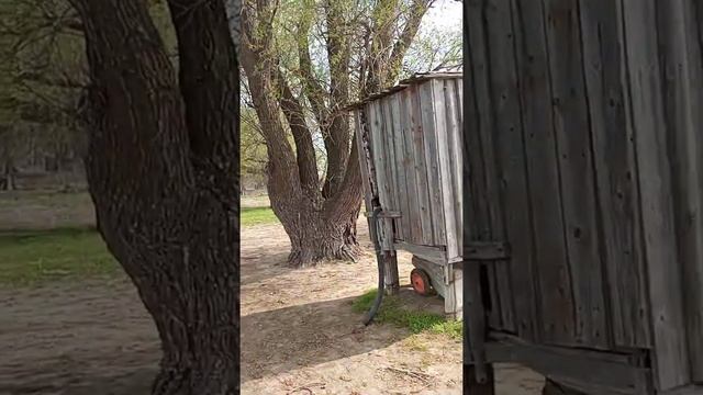 Рыбалка на реке Черная в Астраханской области