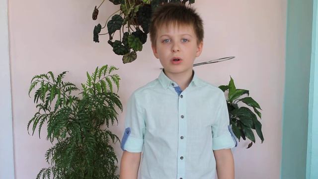 Тамарков Тимофей МАОУ СОШ № 9 2б класс смотреть онлайн