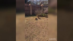 Со Светлой Пасхой!???