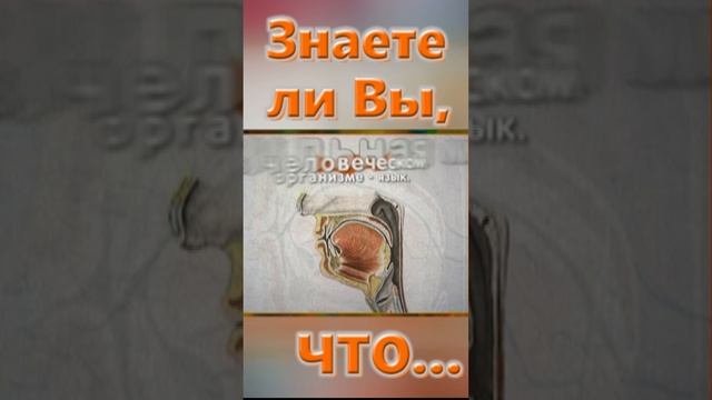 Знаете ли вы, Что? Язык