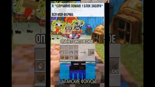 МЕМ ИЗ ТИК ТОКА