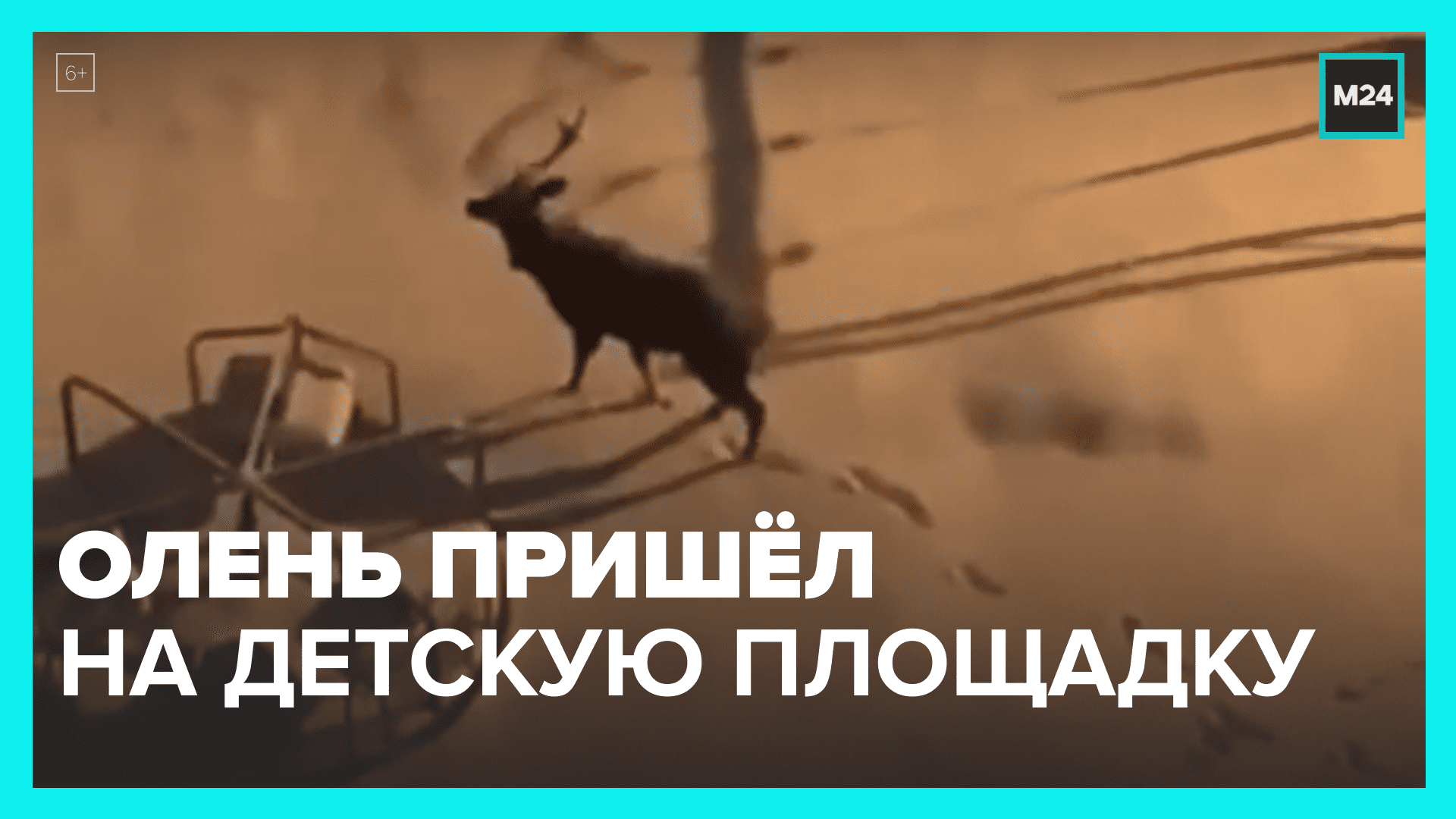 Олень наведался в подмосковные Луховицы – Москва 24