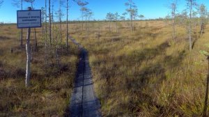 Рдейский заповедник - Новгородская область (48:9)