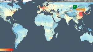 Бирюзовые организации: часть II. история