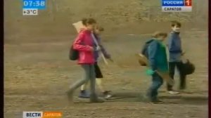 Скворцы не прилетели в область до сих пор