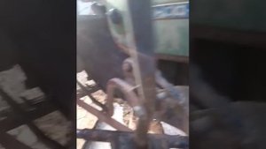 Трехколесный каракат с двигателем от скутера. Обзор.