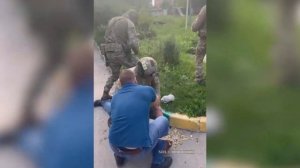 Ирина Волк: В Туле при задержании наркодилер оказал сопротивление полиции и спустил с поводка собаку