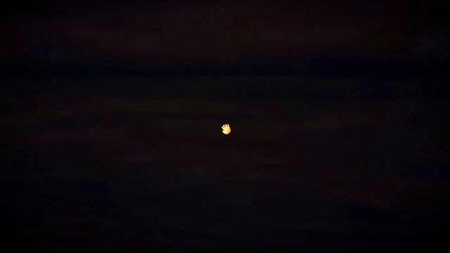 Among The Sleep | Пролог смотреть онлайн