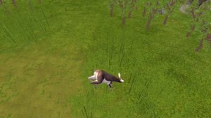 Баг на Гималайского медведя в Японском лесу-#doohrysi#вайлдкрафт#оле7#mystic#wildcraft#вилдкрафт