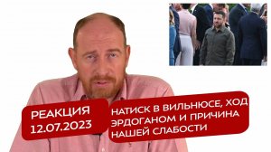 Реакция 12.07.2023 НАТиск в Вильнюсе, ход Эрдоганом и причина нашей слабости