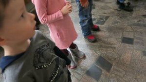 Скелеты динозавров, раскопки Палеонтологический музей в Москве