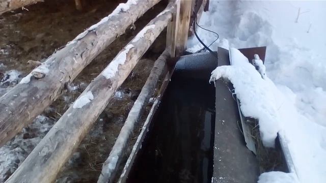 поилка для быков...рентабельность, замерзла вода смотреть онлайн