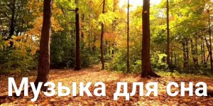 Музыка для сна, восстановления сил и медитации, релакса