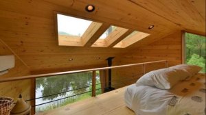 Лесной дом-дерево в США.