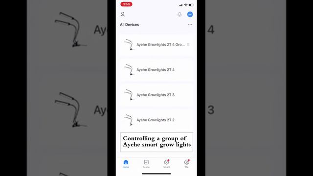 Ayehe Wifi Smart Grow Lights, Group Control, Create groups and group control