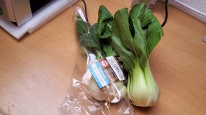 Пак-чой китайская черешковая капуста.Pak Choi chinesischer Blätterkohl.Bok Choy China white cabbage
